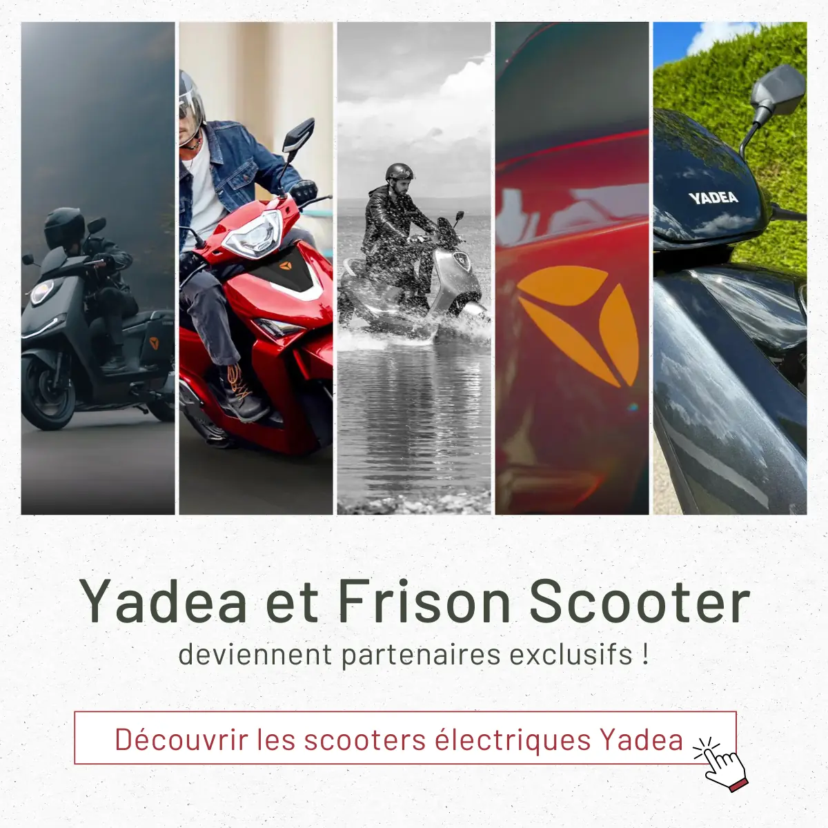 Cinq scooters électriques Yadea présentés de manière dynamique