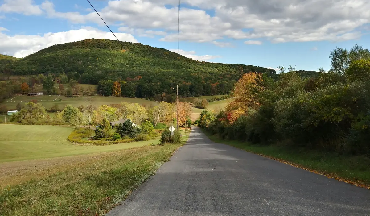 route de campagne en automne