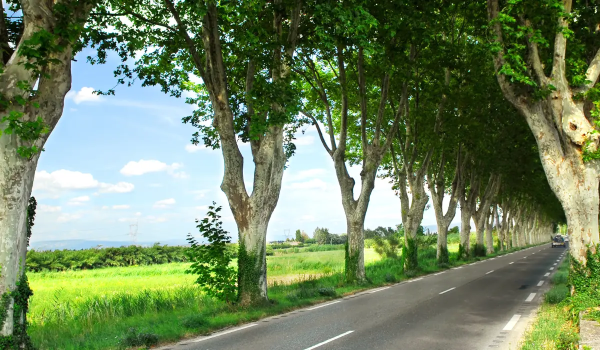 route départementale